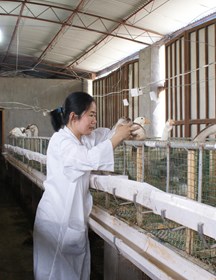 畜牧兽医研究所--王惠影（2021-2023年度）