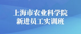 上海市农业科-太阳集团城网2018新进员工实训班